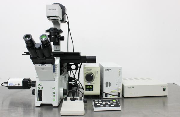 Olympus IX81 Motorized Inverted Fluorescence Microscope for Advanced Live-Cell Imaging-cover