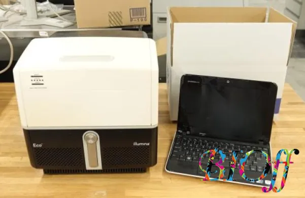 Illumina Eco Real-Time PCR System