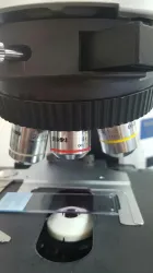 Olympus BX41 Compound Microscope with Dual Head Bridge and LED Side-by-Side Pointer, 3 of 7