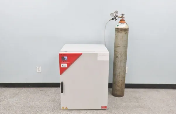 Binder C170 CO2 Incubator with IR Sensor and Sterilization Cycle, 5.9 cu ft, 2023 Model