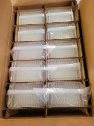 Axygen 96-well Clear Polypropylene Deep Well Plate, 4 of 4