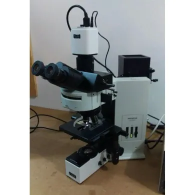 Olympus BX60