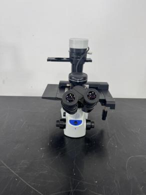 Olympus CKX53 Inverted Microscope for Cell Culture and Live-Cell Imaging-cover