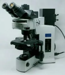 Olympus BX51 Fluorescence and Phase Contrast Trinocular Microscope, 2 of 9
