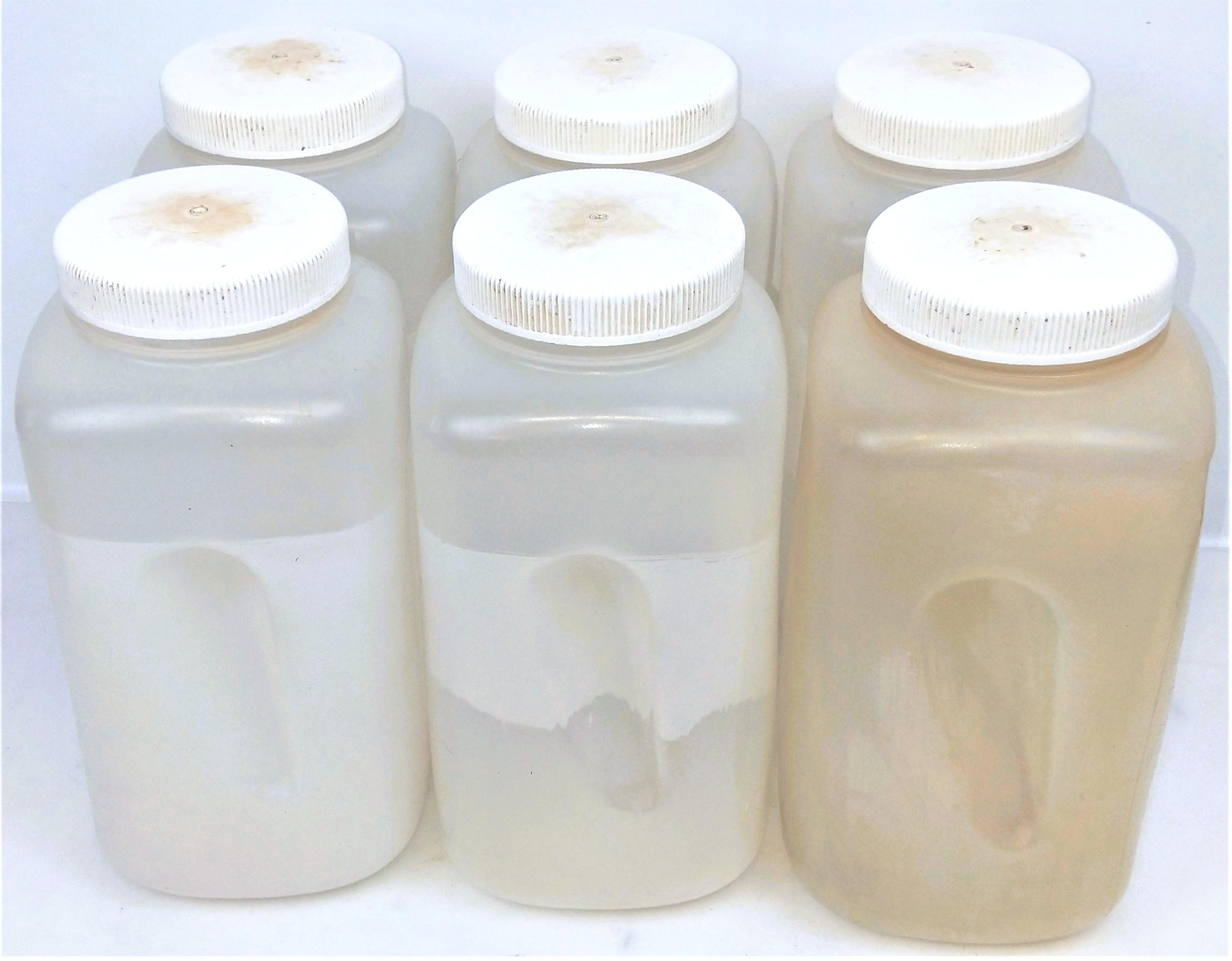 Nalgene 2122-0010 Wide-Mouth Square 4L Polypropylene Copolymer Sample Bottle with Closure