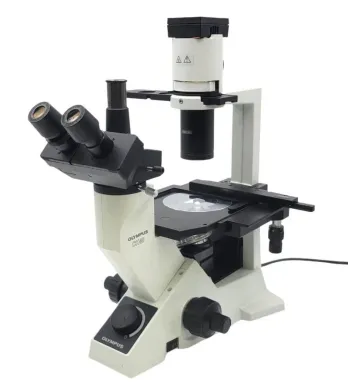 Olympus CK40 Inverted Microscope with Phase Contrast and Trinocular Head