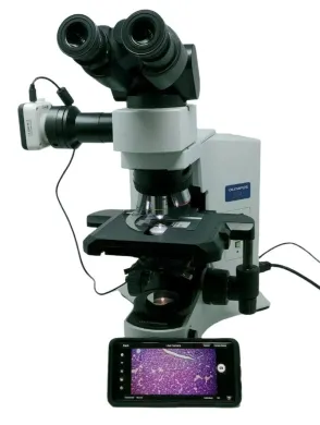 Olympus BX41 Compound Microscope with 2x Objective and Moticam Digital Camera