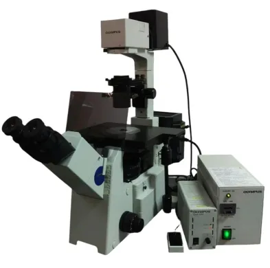 Olympus IX51 Inverted Fluorescence and Phase Contrast Microscope
