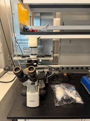 VWR Inverted Microscope for Cell Culture and Live-Cell Imaging Applications-cover