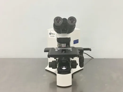 Olympus BX41TF Manual Upright Brightfield Compound Microscope