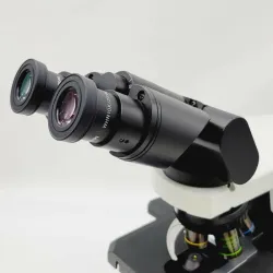 Olympus BX41 Microscope with Phase Contrast and Fluorite Objectives, Tilting Binocular Head, 5 of 8