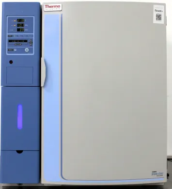 Thermo Steri-Cult CO2 Incubator 3307 High-Volume 232L Capacity with 140°C Sterilization Cycle