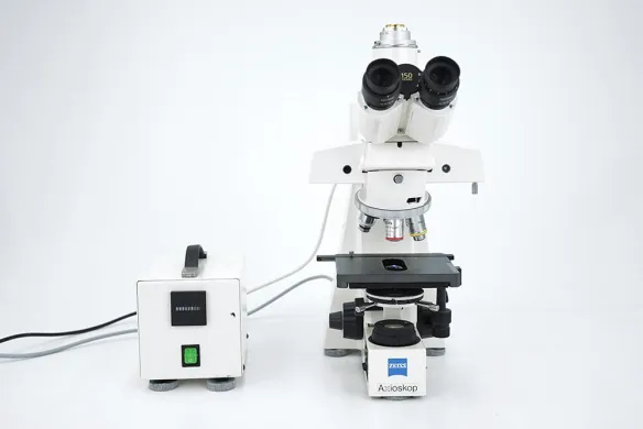Zeiss Axioskop 20 Trinocular Fluorescence Microscope with 5×–100× Objectives and Filter Blocks 01 and 10