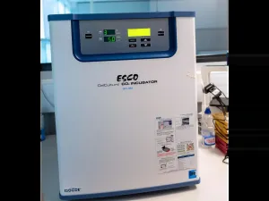Esco CelCulture 50 L CO₂ Incubator with IR Sensor and Moist Heat Decontamination, 2 of 5