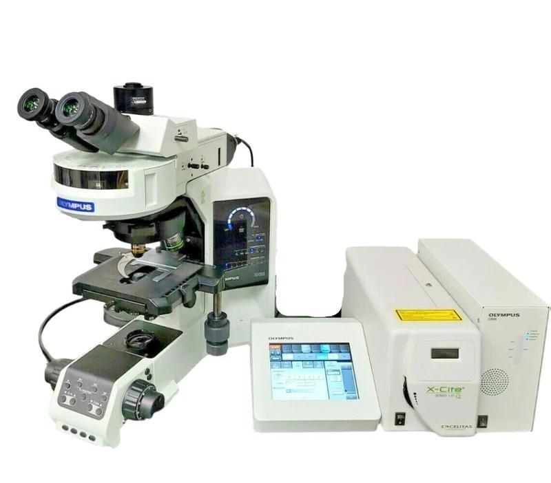 Olympus BX63 Fluorescence Microscope for FISH Applications