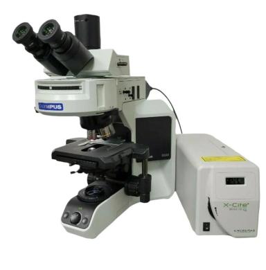 Olympus BX43 Upright Fluorescence Microscope with X-Cite Lite Illumination-cover