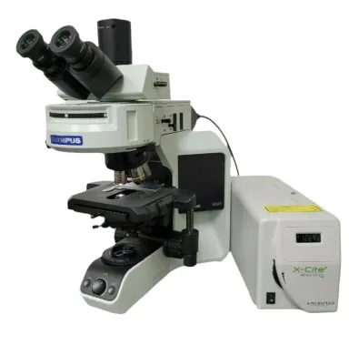 Olympus BX43 Upright Fluorescence Microscope with X-Cite Lite Illumination