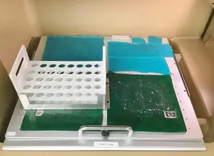 Infors HT Minitron Double Stack CO2 Incubator Shaker for Mammalian Cell Culture, 6 of 16