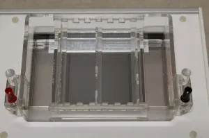 Biometra UV Band-Elutor Electrophoresis Cell for Agarose Gel DNA Separation and UV Monitoring, 2 of 4