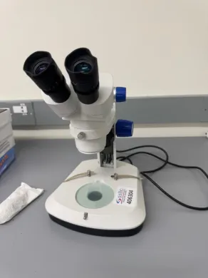 Stereo Microscope with Binocular Eyepieces and Adjustable Focus for Laboratory Use
