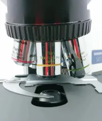 Olympus BX51 Microscope with Phase Contrast and Tilting Binocular Head, 7 of 10
