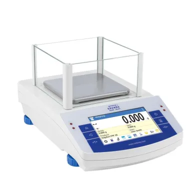 Radwag PS 3000.X2 Precision Balance
