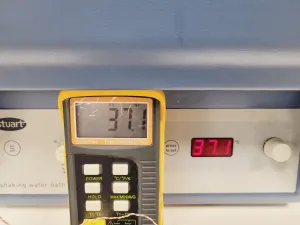 Stuart SBS40 Shaking Water Bath for Controlled Temperature and Agitation, 16 of 17