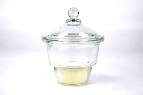 Duran Flat-Flange Desiccator with Lid and Porcelain Perforated Plate, 200 mm