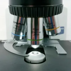 Olympus BX41 Microscope with 2x Objective and 10 MP Digital Camera, 7 of 11