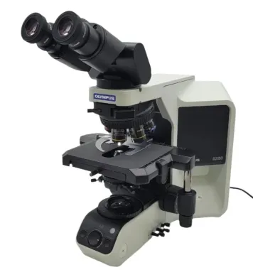 Olympus BX53 Microscope with PlanApo Objectives and Tilting Binocular Head for Pathology