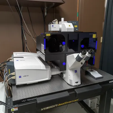 Zeiss LSM 880 with Airyscan