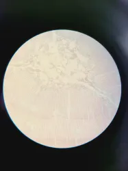 Nikon Inverted Microscope for Advanced Cell Imaging and Fluorescence Analysis, 22 of 37