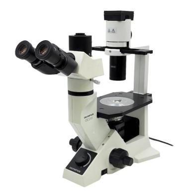 Olympus Microscope CKX41 with Phase Contrast and Trinocular Head for Tissue Culture-cover