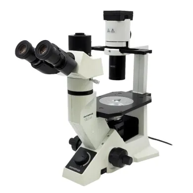 Olympus Microscope CKX41 with Phase Contrast and Trinocular Head for Tissue Culture