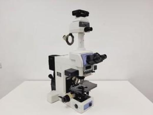 Nikon Eclipse E800 Microscope System w/ Plan Apo 40/60/100, V-PS100E Lab-cover