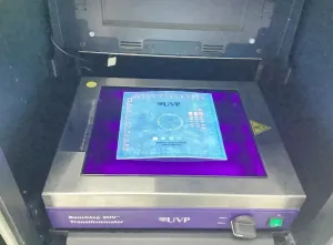 UVP Biospectrum AC Fluorescence and Chemiluminescent Gel Imaging System with CCD Camera, 9 of 22
