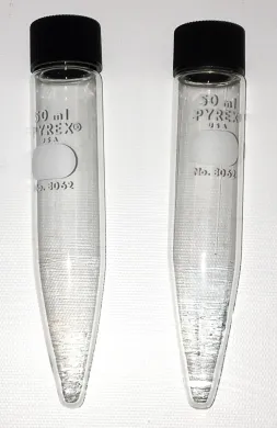 Corning PYREX 8062-50 50 mL Conical Centrifuge Tube with Screw-Cap (Set of 2)