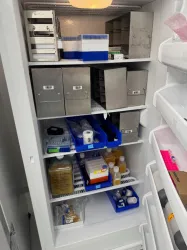 Thermo -20C Freezer, 2 of 2