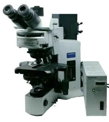 Olympus BX51 Optical Microscope with DIC and Fluorescence Capabilities