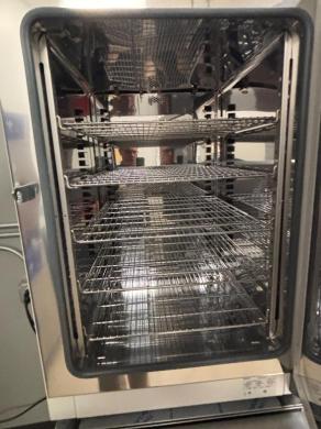 Thermo Fisher Scientific Heratherm OMS180 Laboratory Drying Oven with Digital Controller-cover
