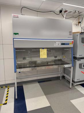 Thermo 1300 Series A2 6' Class II Biosafety Cabinet Model 1387-cover