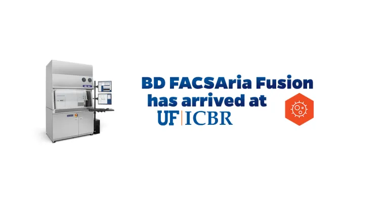 BD Biosciences FACSAria