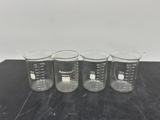 Thermo Fisher Scientific Glass Laboratory Beakers with Graduations and Pouring Spouts, Set of 4-cover