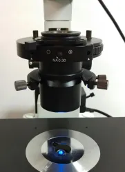 Olympus IX51 Inverted Fluorescence and Phase Contrast Microscope, 5 of 11