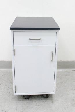 Kewaunee Scientific Turn-Key Storage Cabinet with Casters for Laboratory and Industrial Use-cover