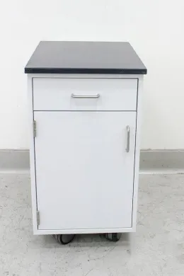 Kewaunee Scientific Turn-Key Storage Cabinet with Casters for Laboratory and Industrial Use