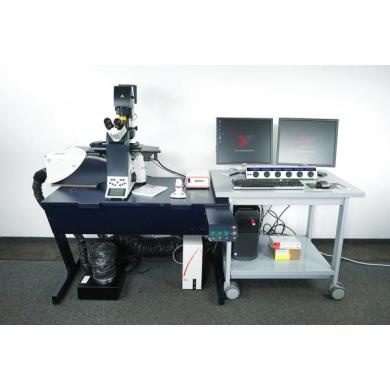 Leica DMi6000B CS TCS SP5 Inverted Confocal Microscope Win10 LAS AF 273 License *Serviced*-cover