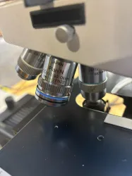 LEITZ Dialux 20 Metallurgical Microscope for Advanced Material Analysis, 3 of 4