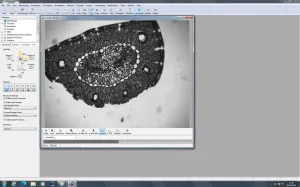 Zeiss PALM MicroBeam Laser Microdissection System with PC and Software, 9 of 109