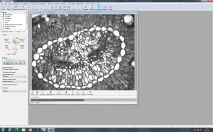 Zeiss PALM MicroBeam Laser Microdissection System with PC and Software, 15 of 109